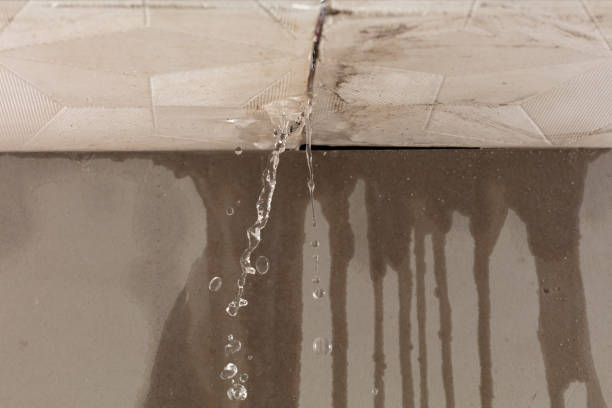 Professional Structural Drying technician working in Pleasanton, TX